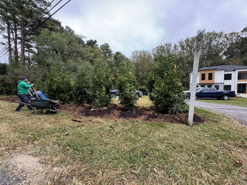 Landscape Design & Planting by Empire Landscapes