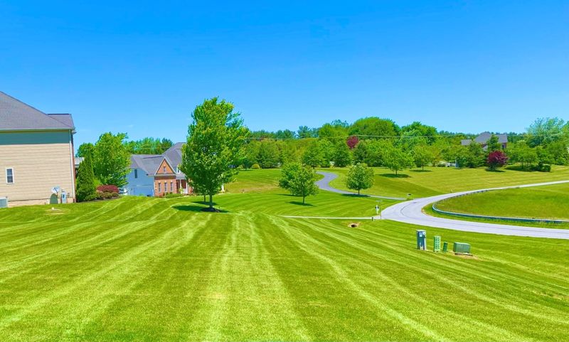 Commercial & HOA Grounds Maintenance by Empire Landscapes